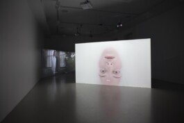Studio Egor Kraft