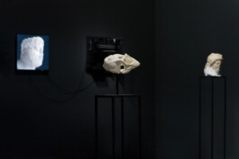 Studio Egor Kraft