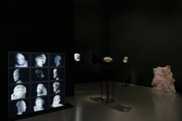 Studio Egor Kraft