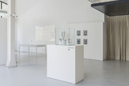 Studio Egor Kraft
