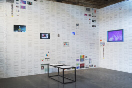 Studio Egor Kraft