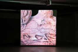 Studio Egor Kraft